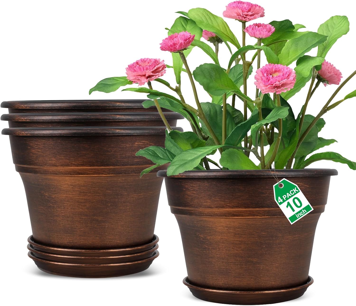 Gardening & Lawn Care