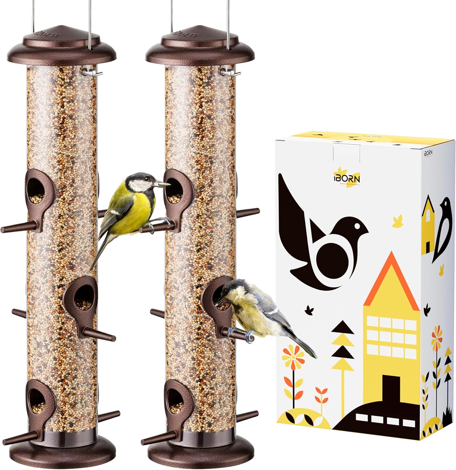 Backyard Birding & Wildlife