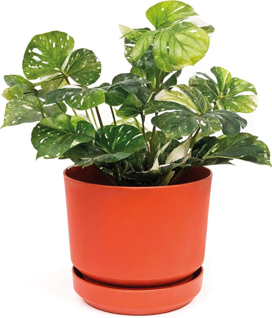 Elly Décor 10 inch Plastic Cylinder Planter Pot with Self-Watering Saucer and Drainage Hole,Lightweight & Extremely Durable, 10"x 10", Terracotta