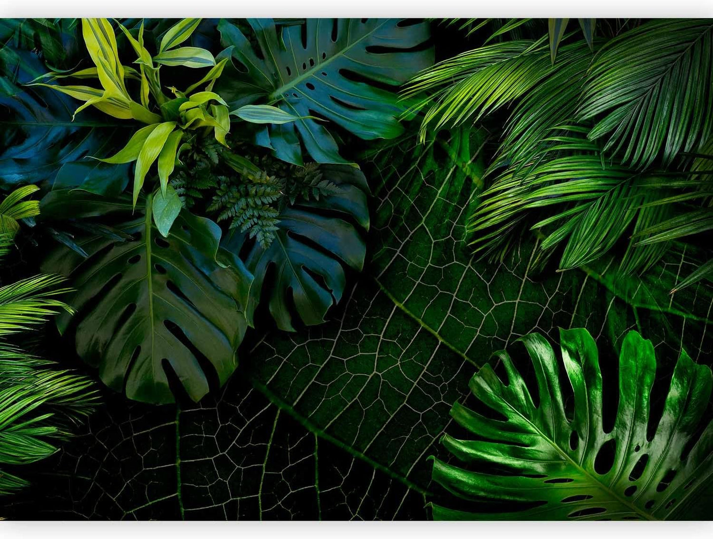 artgeist Premium Wall Mural Tropical 98x69 in - XXL Non-Woven Wallpaper Fleece Wall Decor Photo Print Picture Image Design Home b-C-0224-a-a