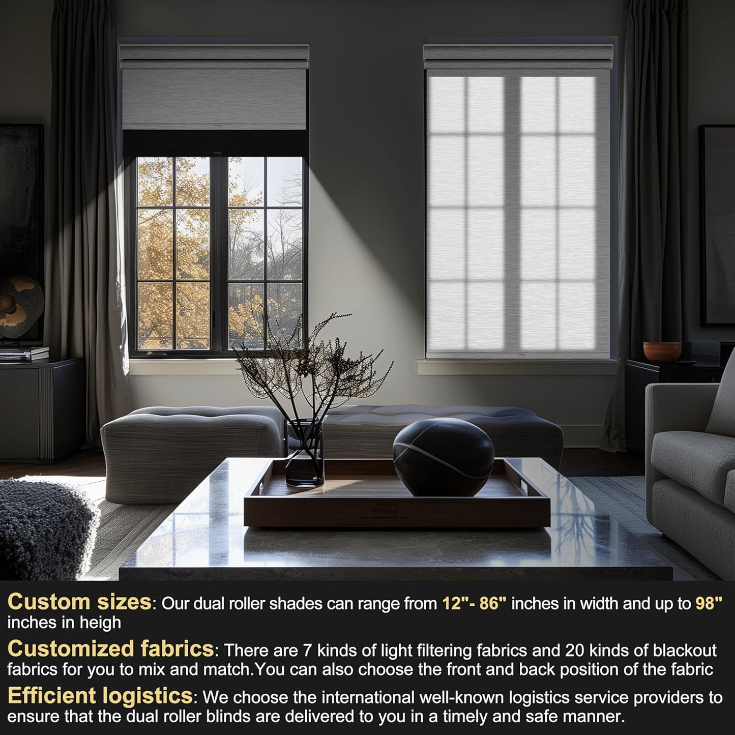 BERISSA Cordless Dual Roller Shades with Cassette Valance,Double Window Shades Blackout and Light Filtering Shades,Day and Night Roller Shades for Home Office Door.Linen Black and White.46 W x 64" H